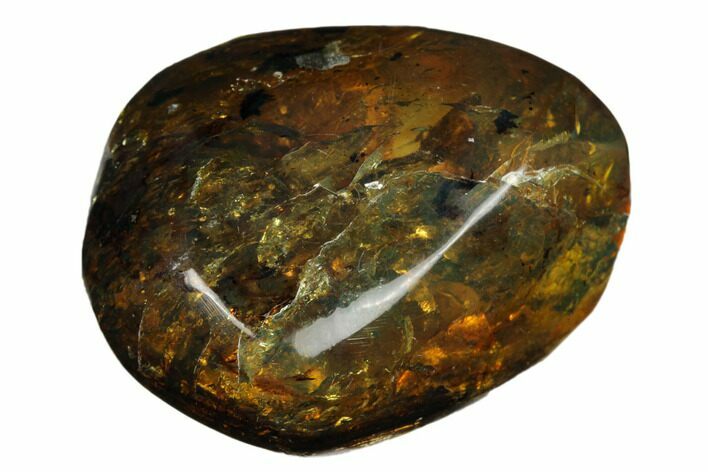 1.5" Polished Chiapas Amber (16 grams) - Mexico